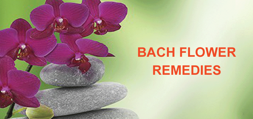 BACH FLOWER REMEDIES